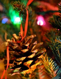 photo: rus vanwestervelt