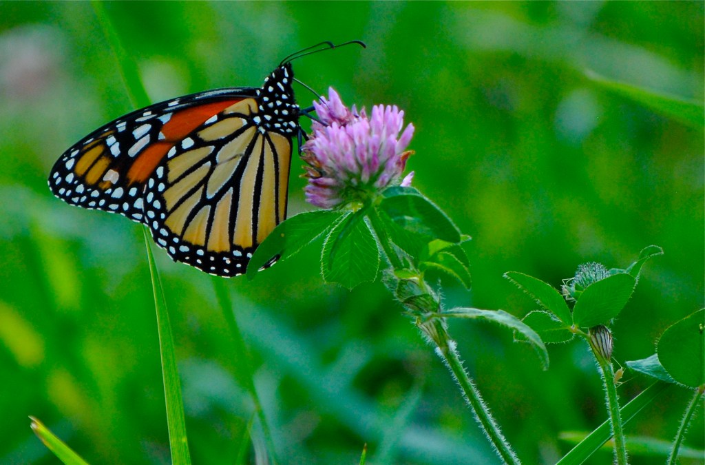 It’s Time To Rename This Thing Called&nbsp;Blogging