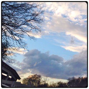 photo: rus vanwestervelt